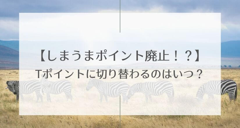 【しまうまポイント廃止】Tポイントに切り替わるのはいつ？